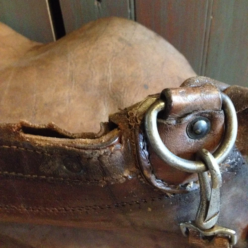 US Mail Bag — Omniterrum
